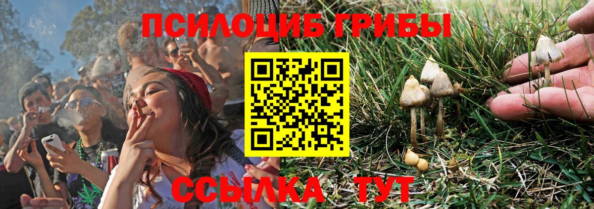 Белогорск  Псилоцибиновые грибы Psilocybe  Псилоцибиновые грибы мухоморы  Вход с VPN 